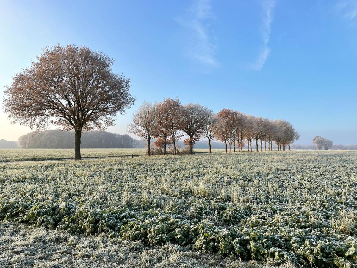 Wapen Van Exloo Exteriör bild